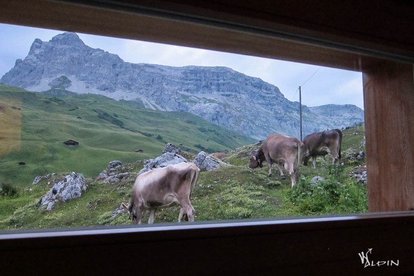 Abendlicher Blick auf die Sulzfluh