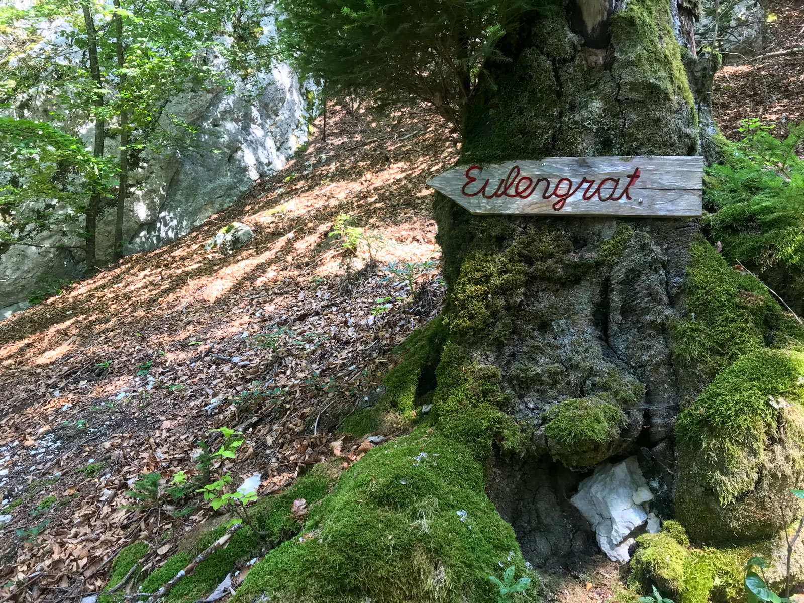 eulengrat-alpinklettern-in-solothurn-www-gipfelpfad-de